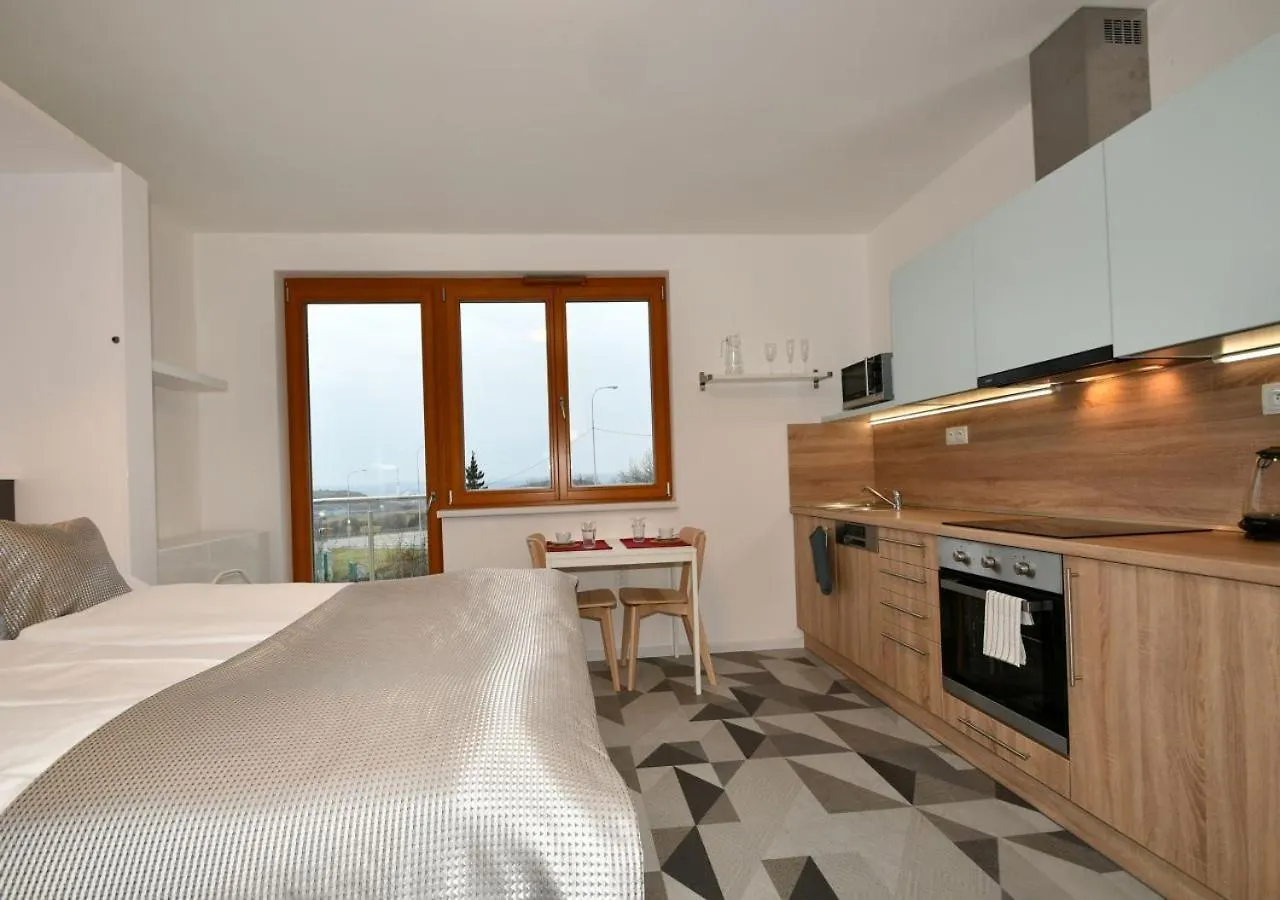 Efi Residence Holzova 28 Brno Apartment